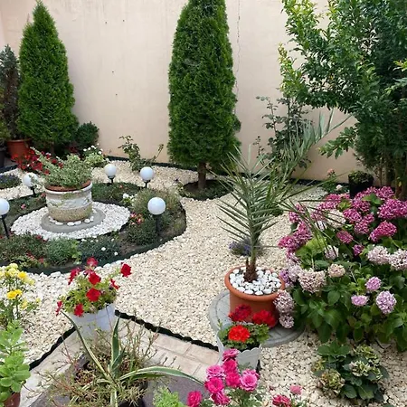 Guest house Garsoniera Delfinariu